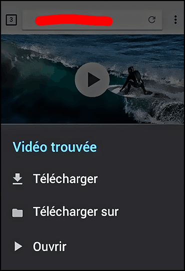 application Téléchargeur de Vidéo