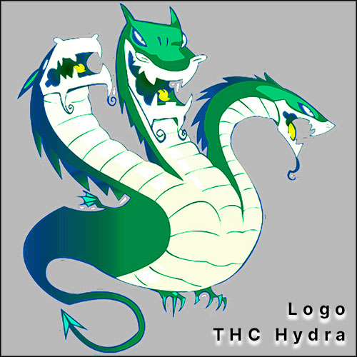 Logo du logiciel THC Hydra