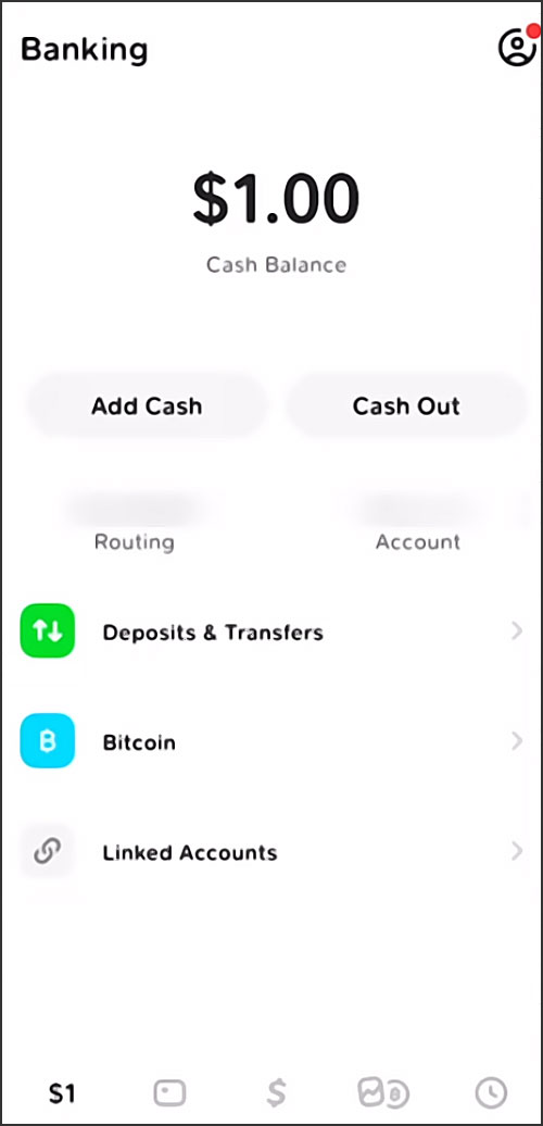 Interface de Cash app