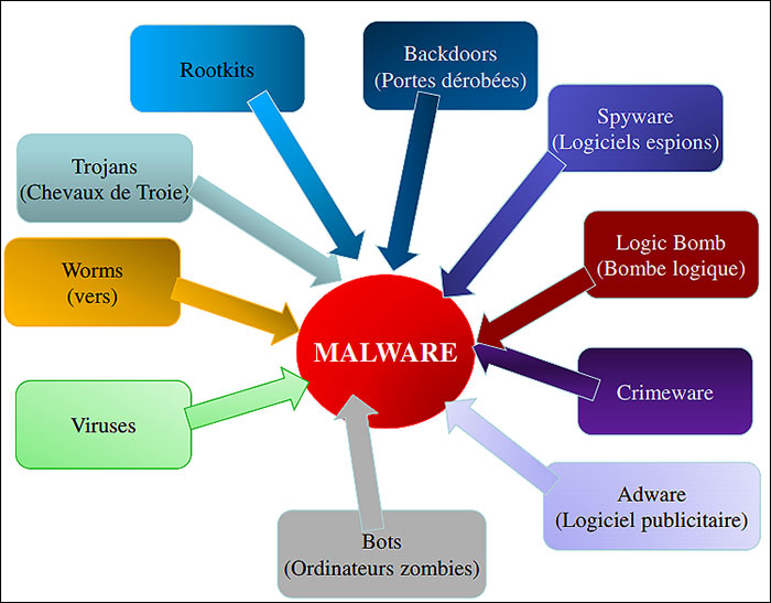 Graphique : Les différents types de malware