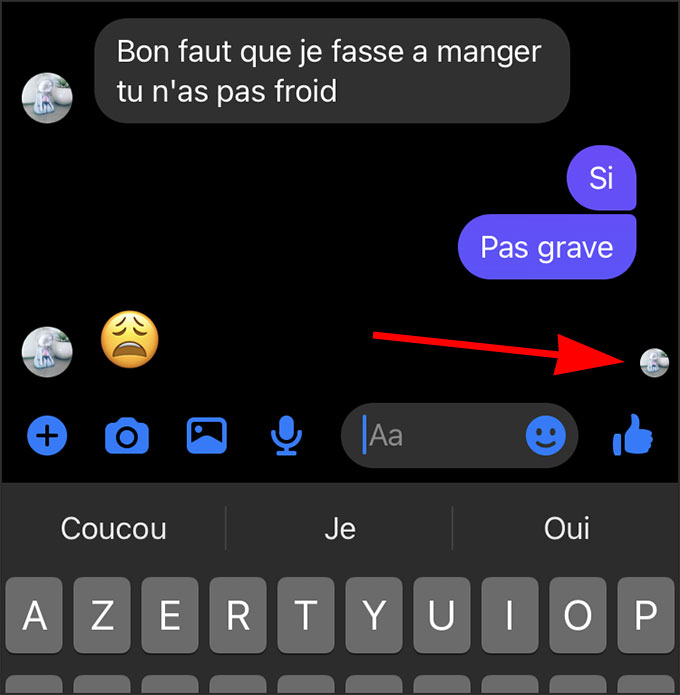 Icone Messenger : l'icône de l'avatar