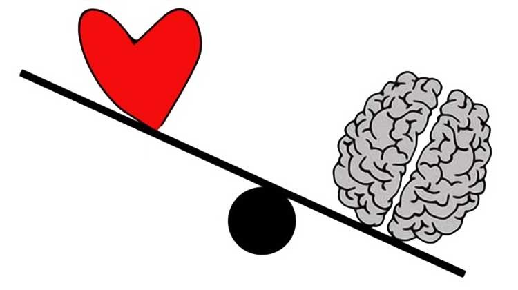 L'amour vient du coeur ou du cerveau ?