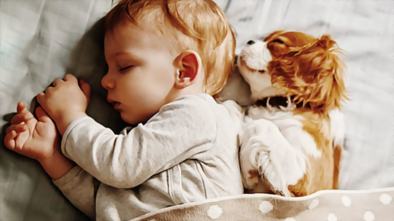 bebe et chiot
