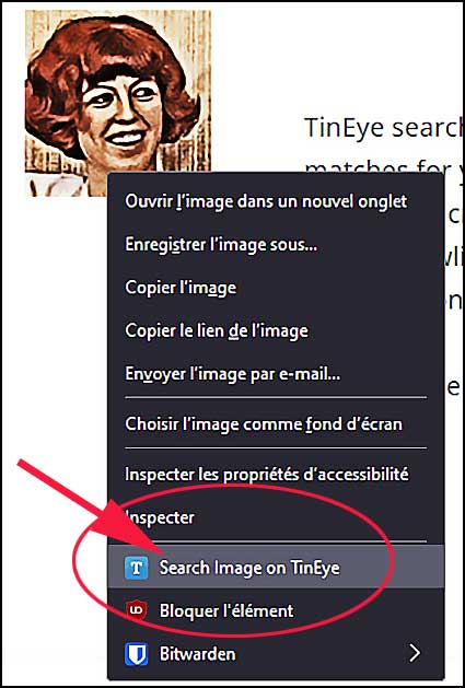 plugin search on tineye