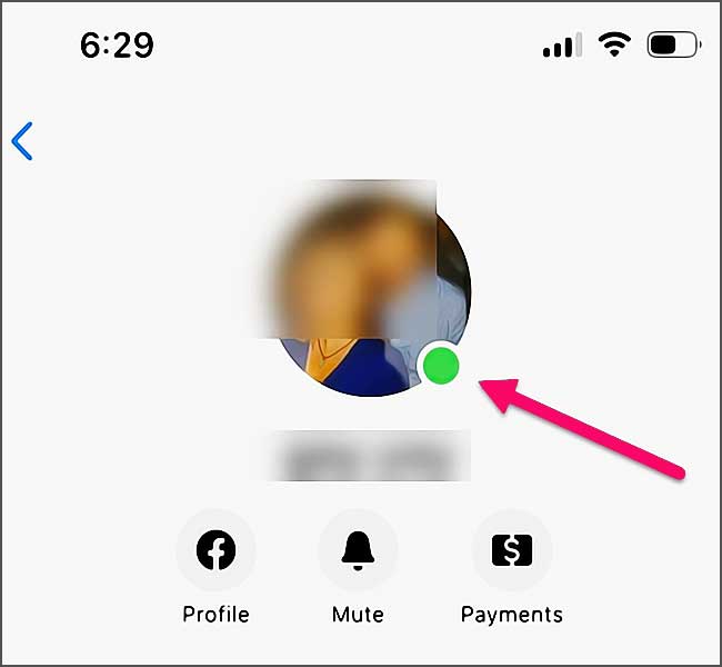Interface utilisateur de Facebook Messenger avec indicateur en ligne activé. (icone point vert)
