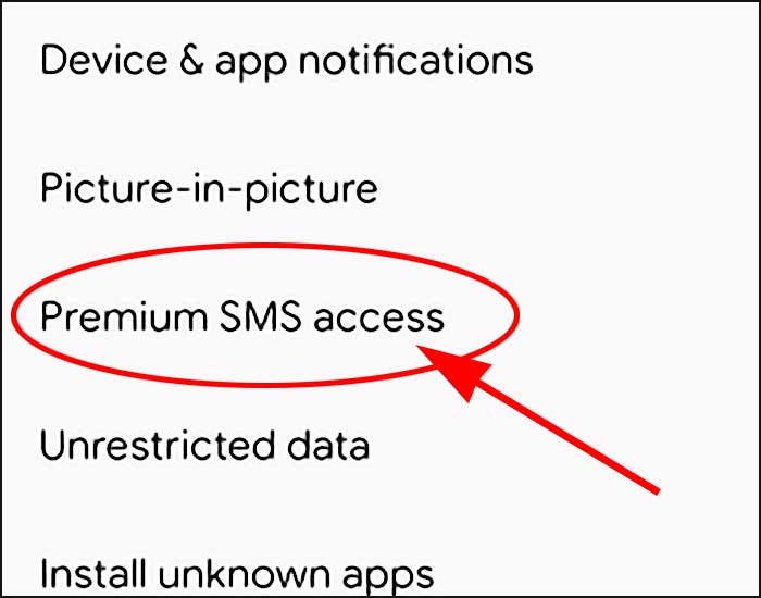premium sms access