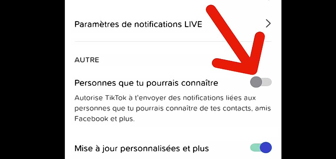 Capture d'écran paramètres notifications TikTok.