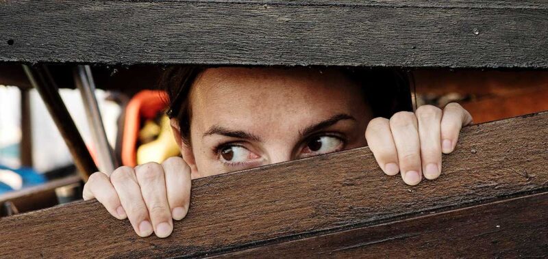 Regard curieux entre planches en bois.