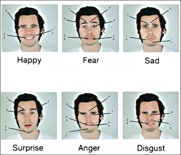 micro expressions faciales